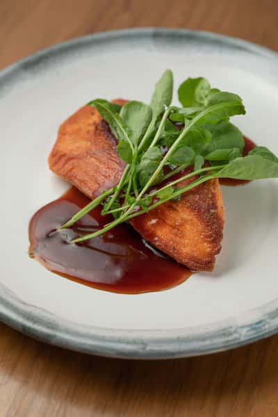King Salmon