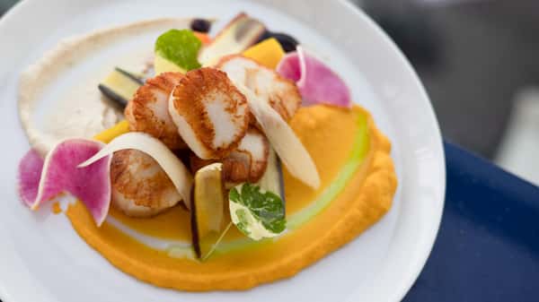 Pan Roasted Scallops