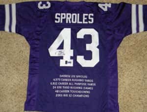 sproles jersey