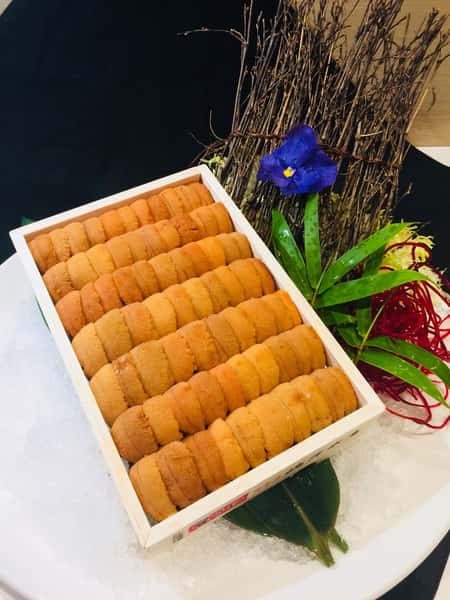 Hokkaido uni