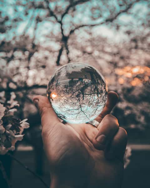 person holding a glass ball