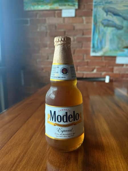 Modelo