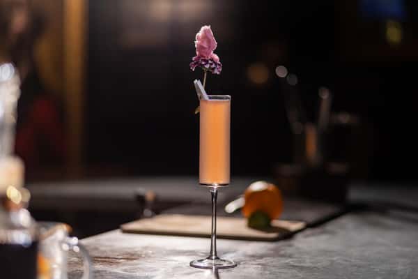 Pink Mimosa