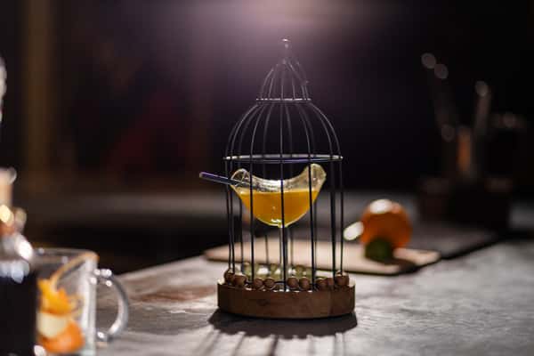 Golden Goose (Tumeric Tini)