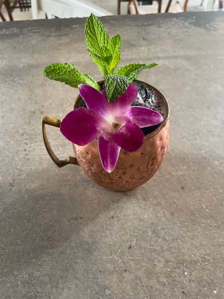 Ginger Mule Mocktail