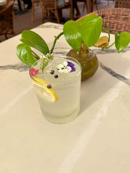 Yuzu Gin & Tonic