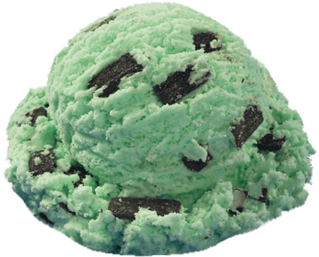 Mint Chocolate Chip