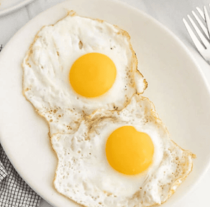 EGG