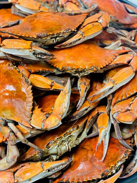 Louisiana Blue Crabs
