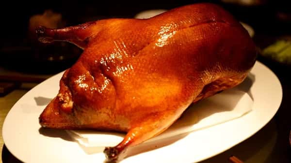 duck