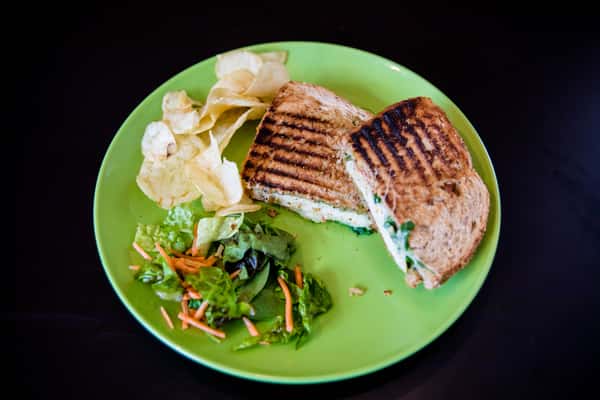 Medford Chicken Panini