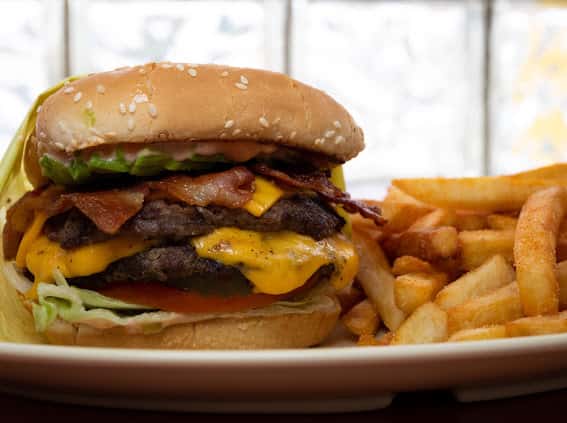 Double Cheeseburger Special