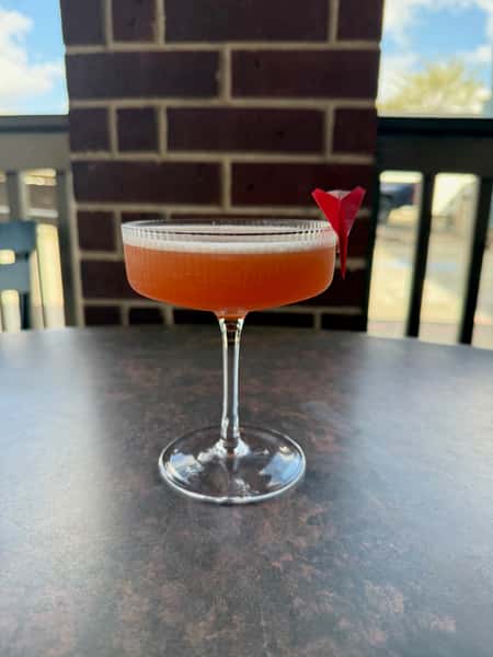 Paper Plane