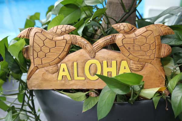 aloha sign