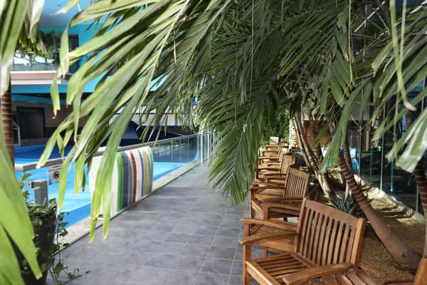 chairs and palm trees