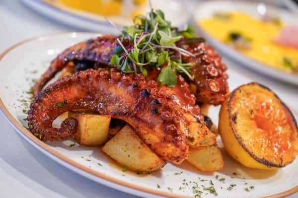Pulpo 3