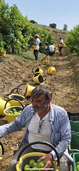 Uncle in Field