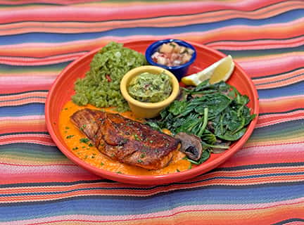 Santa Fe Salmon (D)