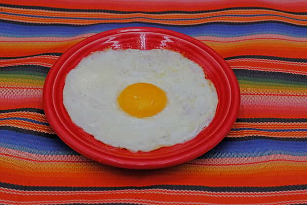 One Egg Any Style