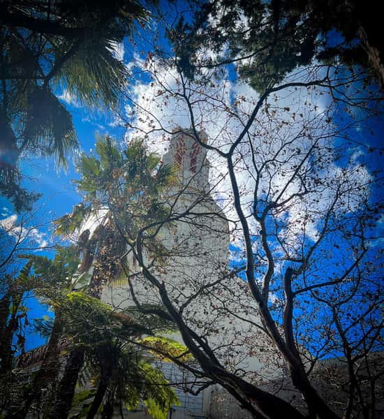 Tower Theatre spire seen through lush trees and branches, set against a vivid blue sky with scattered clouds.