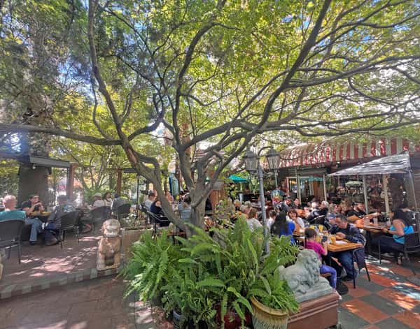 Lush outdoor patio dining under tree canopy, with crowded tables, rustic decor, and vibrant garden ambiance.