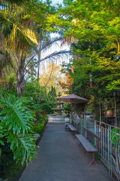 Peaceful garden pathway lined with benches and tropical greenery, leading to a tiered stone fountain at golden hour.