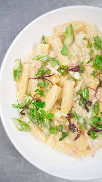 Lobster Rigatoni