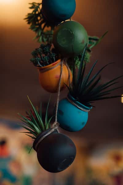 Gallery Peppers Grill & Bar Southwestern Restaurant in Roswell, NM