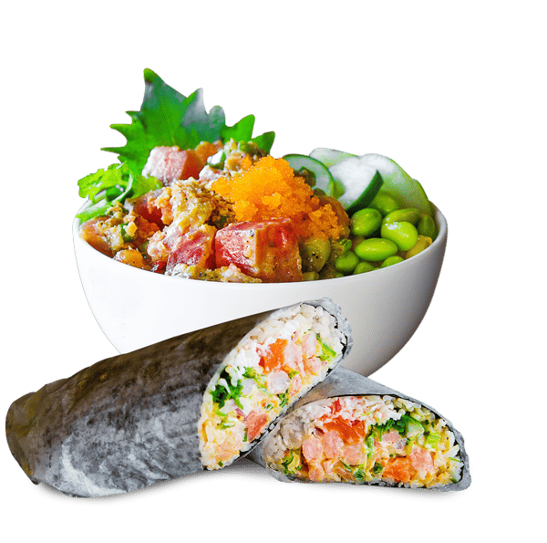 bowl and burrito