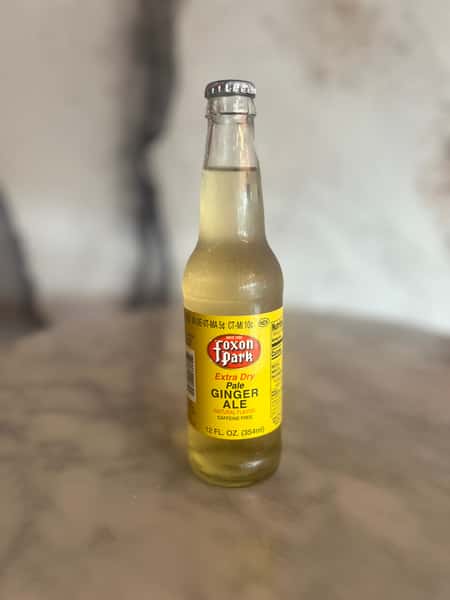 Ginger Ale Soda
