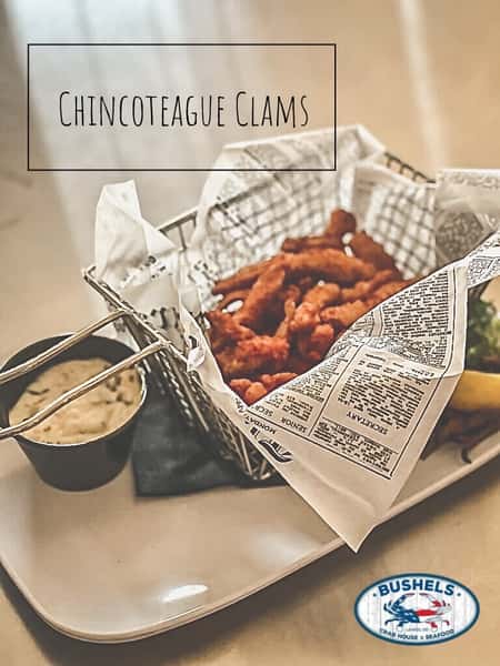 Chincoteague Clams