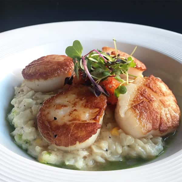 Seared scallops with mushroom risotto