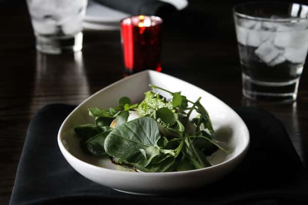 Burrata
