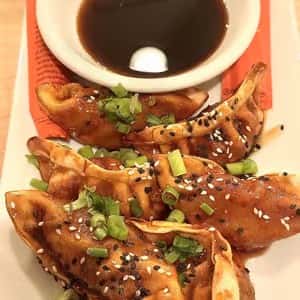 Chicken Teriyaki Dumplings