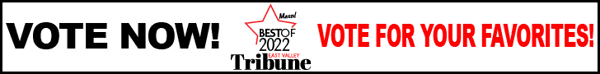 Best of Mesa 2022 Voting