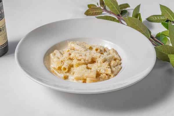 Rigatoni Alfredo