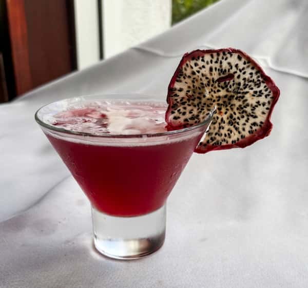 Dragon Fruit Paradise