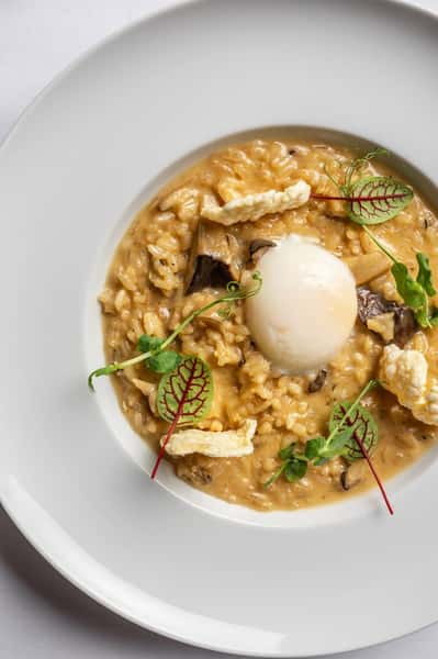 Truffle & Wild Mushroom Risotto