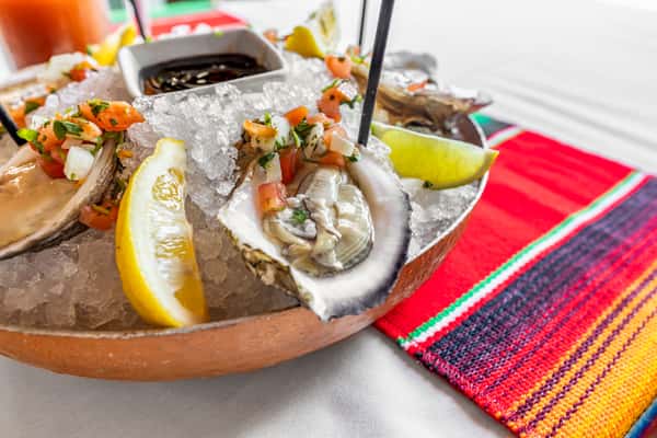 Oysters | Ostiones en su concha