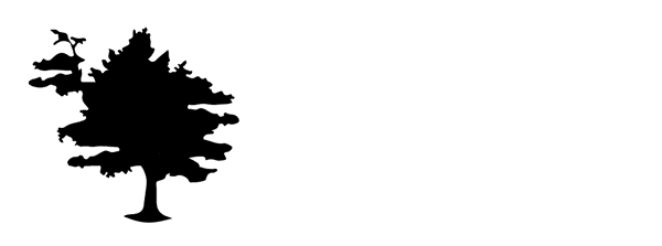 Pop Ville Logo