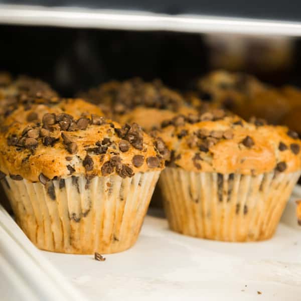 Chocolate chip muffins
