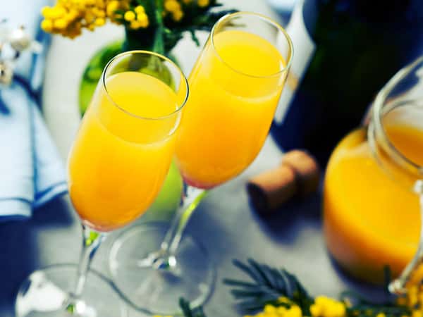 French Mimosa
