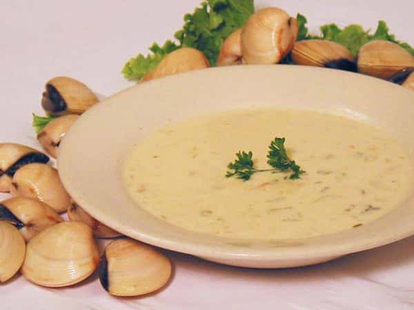 a bowl of clam chowder surrounded by clam shells