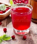Cranberry Juice (No Refills)