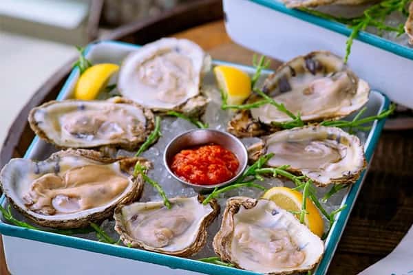 oysters