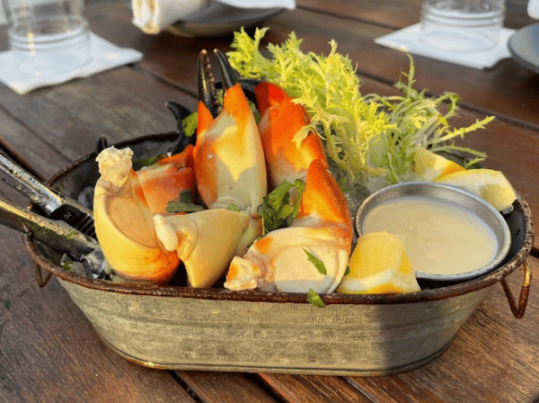 stonecrab