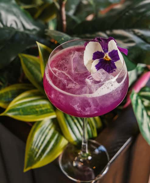cocktail