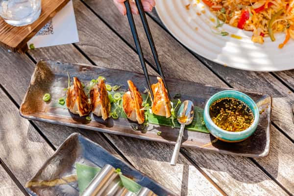 Pork Gyoza