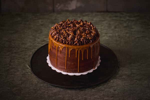 Turtle Cake