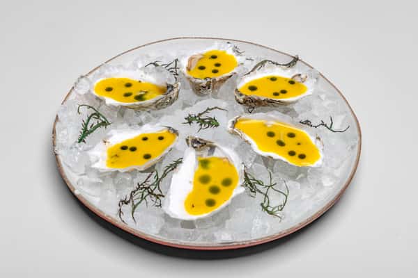 oysters